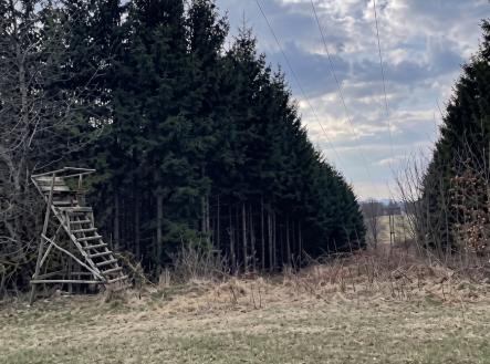 Prodej pozemku, les, 51 563 m²