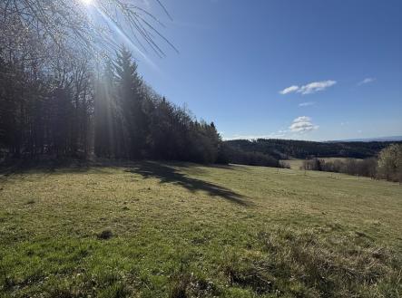 Prodej pozemku, zahrada, 1 973 m²