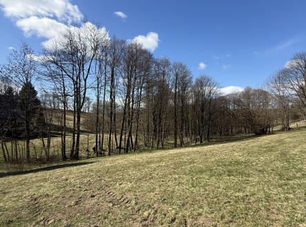 Prodej pozemku, les, 1 892 m²