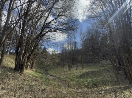 Prodej pozemku, trvalý travní porost, 9 974 m²