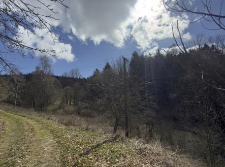 Prodej pozemku, trvalý travní porost, 9 974 m²