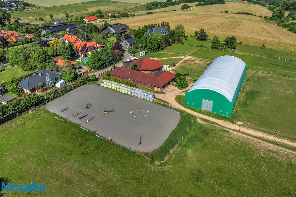 dji-0319.jpg