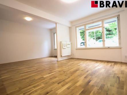 Pronájem bytu, 1+kk, 41 m²