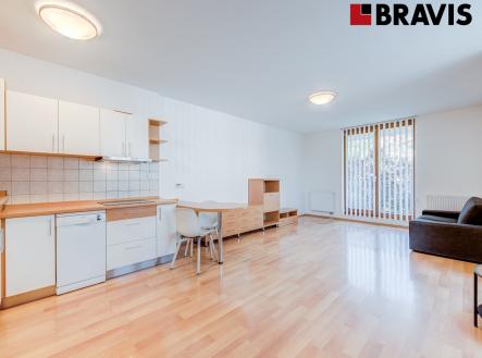 Pronájem bytu, 1+kk, 48 m²