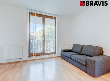 Pronájem bytu, 1+kk, 48 m²