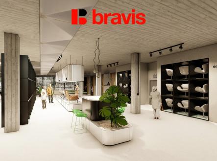 Pronájem obchodní prostor, 667 m²