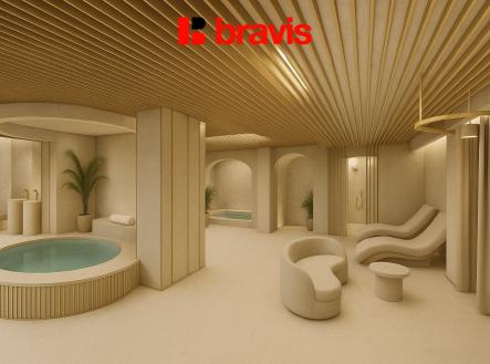 Pronájem obchodní prostor, 246 m²