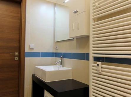 Pronájem bytu, 1+kk, 34 m²