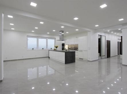 Pronájem bytu, 4+kk, 130 m²