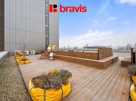 Pronájem bytu, 1+kk, 24 m²