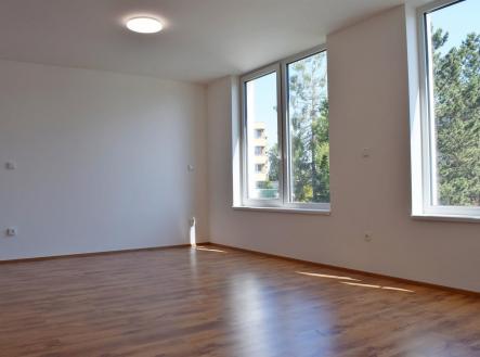 Pronájem bytu, 1+kk, 41 m²