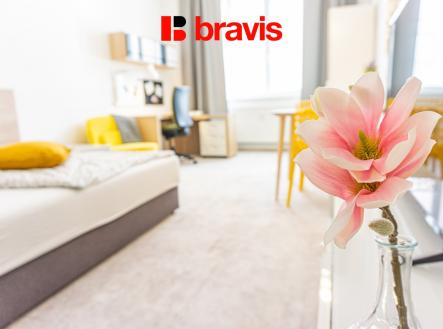 Pronájem bytu, 1+1, 30 m²