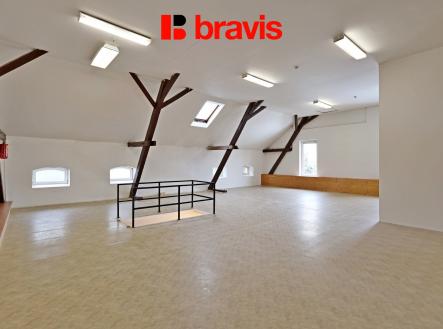 Pronájem obchodní prostor, 450 m²