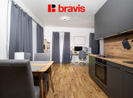 Prodej bytu, 1+kk, 48 m²