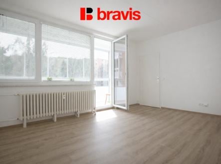 Pronájem bytu, 1+1, 45 m²