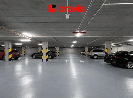 Pronájem