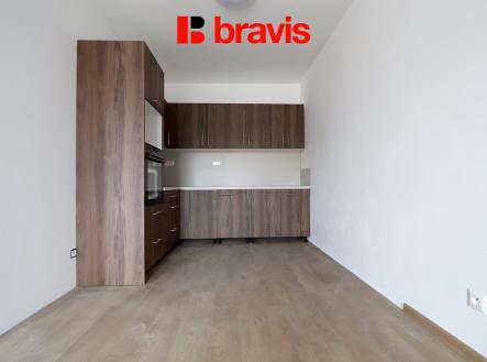 Pronájem bytu, 1+kk, 55 m²