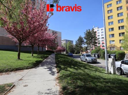 Pronájem bytu, 1+kk, 24 m²