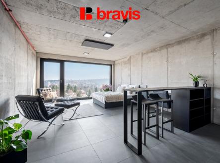 Pronájem bytu, 1+kk, 43 m²