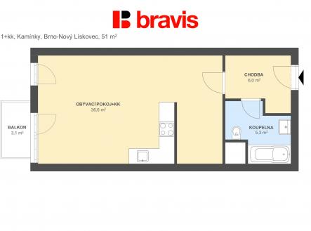 Pronájem bytu, 1+kk, 54 m²
