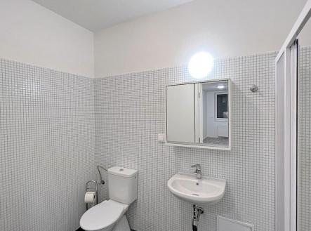 Pronájem bytu, 1+kk, 17 m²