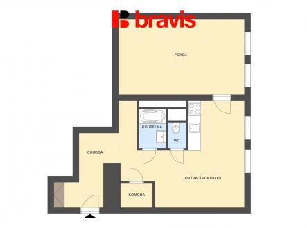 Pronájem bytu, 1+1, 59 m²