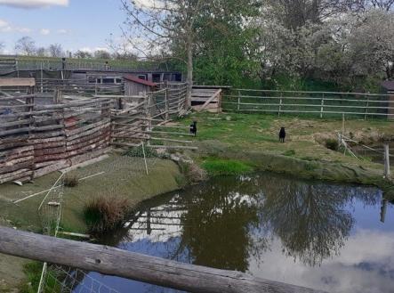 Prodej zemědělského objektu, 8 893 m²