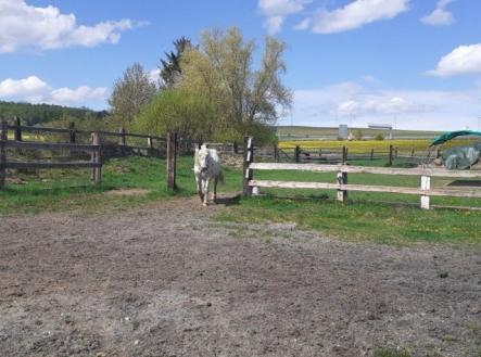 Prodej zemědělského objektu, 8 893 m²