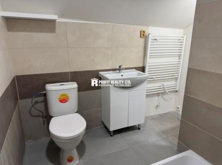 Pronájem bytu, 1+kk, 23 m²