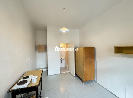 Pronájem bytu, 1+kk, 15 m² obrázek