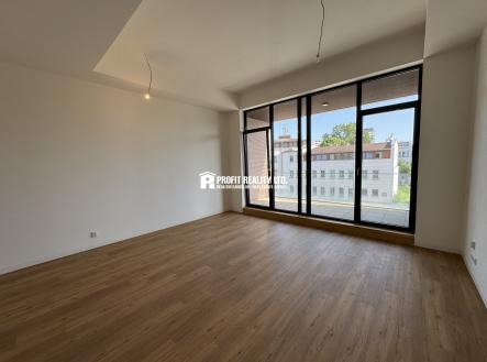 Pronájem bytu, 1+kk, 50 m²