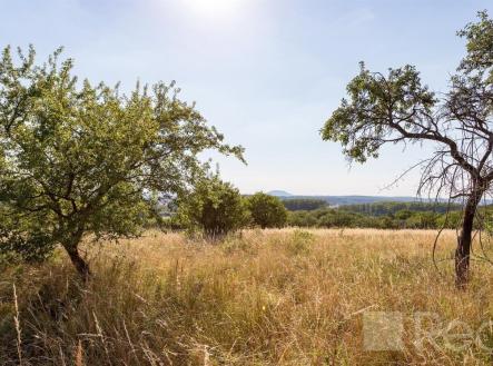 Prodej - pozemek pro bydlení, 6 555 m²