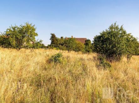 Prodej pozemku pro bydlení, 6 555 m²