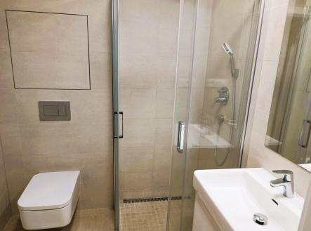 Pronájem bytu, 2+kk, 46 m²