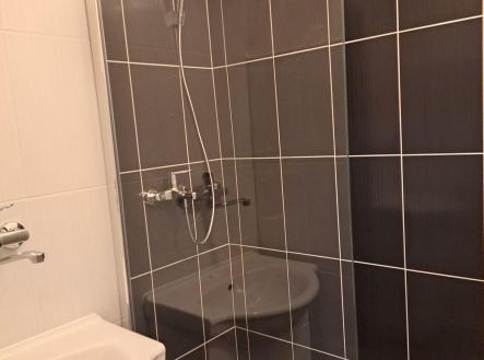 Pronájem bytu, 1+kk, 29 m²