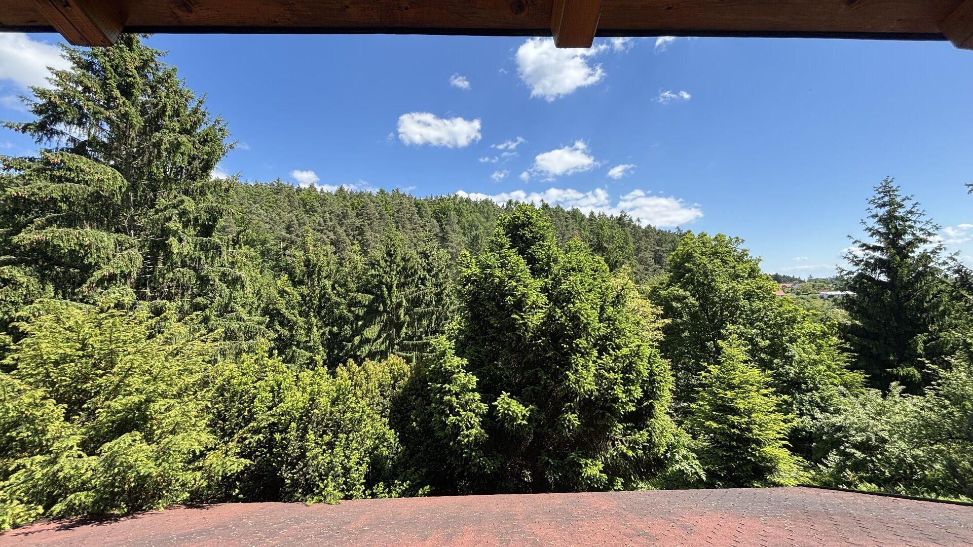 Prodej dvoupodlažního rekreačního objektu, terasa, garáž, pozemek 420 m2, obec Olšany okr. Vyškov