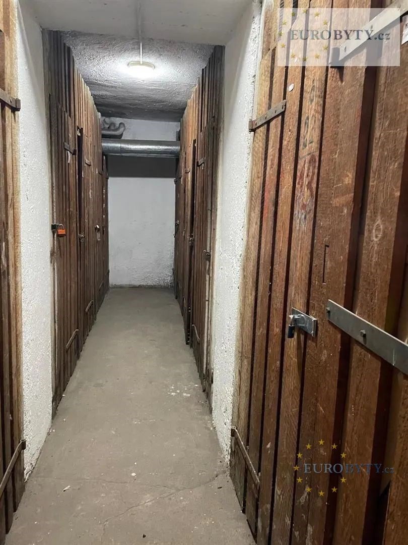 Fotku se nepodařilo načíst.