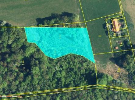 Prodej pozemku, les, 6 273 m²