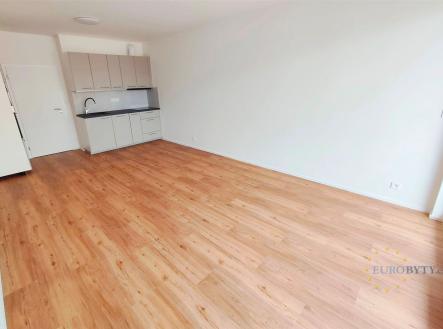 Pronájem bytu, 1+kk, 41 m²