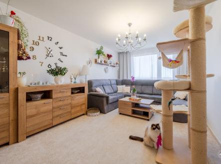 Prodej bytu, 4+1, 76 m²