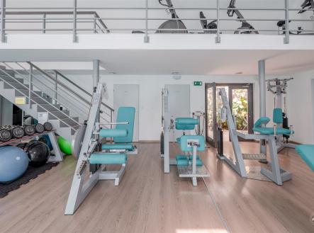 Prodej domu/vily, 318 m²