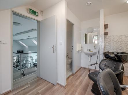 Prodej domu/vily, 318 m²