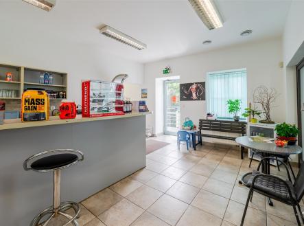 Prodej domu/vily, 318 m²