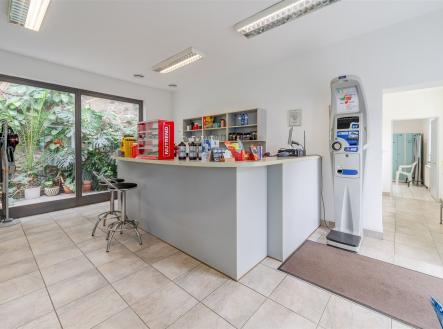 Prodej domu/vily, 318 m²