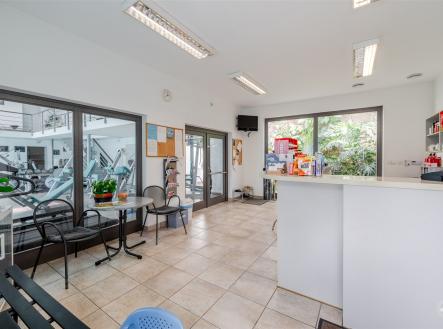 Prodej jiné komerční nemovitosti, 318 m²