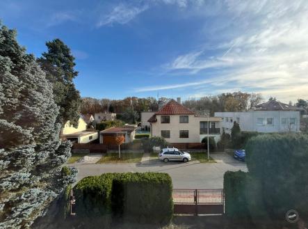 Pronájem domu/vily, 200 m²