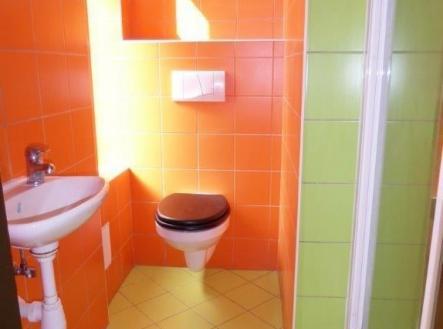 Pronájem bytu, 1+1, 31 m²
