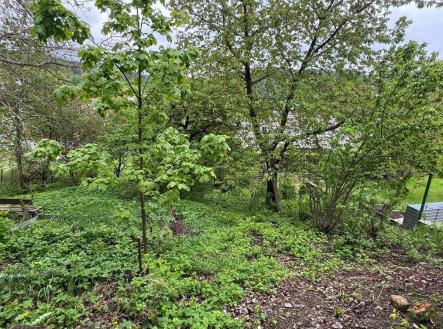 Prodej domu/vily, 250 m²