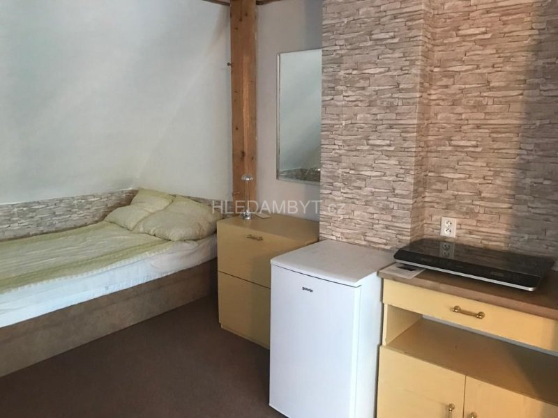 Pronájem bytu Praha 4 Michle 1+kk