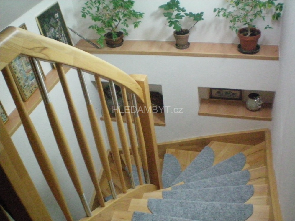 Fotku se nepodařilo načíst.